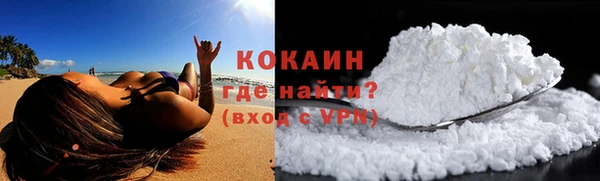 стафф Кодинск