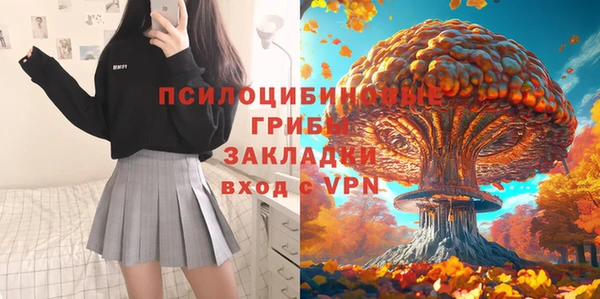 мдпв Одинцово