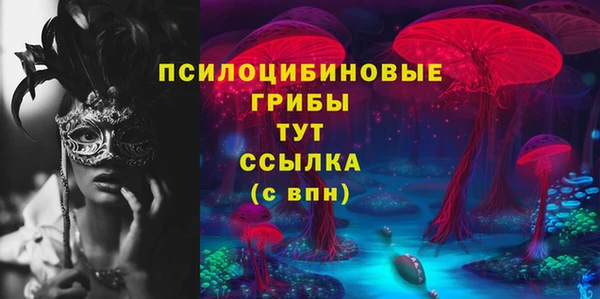 стафф Кодинск