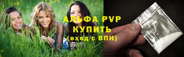 стафф Кодинск